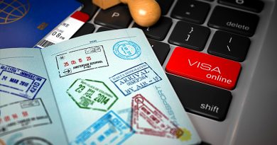 Visa Investor Gagal Terbit, Terjadi Kerusakan Sistem Interkoneksi di BKPM