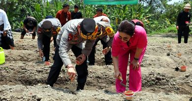 Tindakanjuti Program Presiden, Kapolda Bali dan Pangdam IX/Udayana Tanam Bibit Jagung  